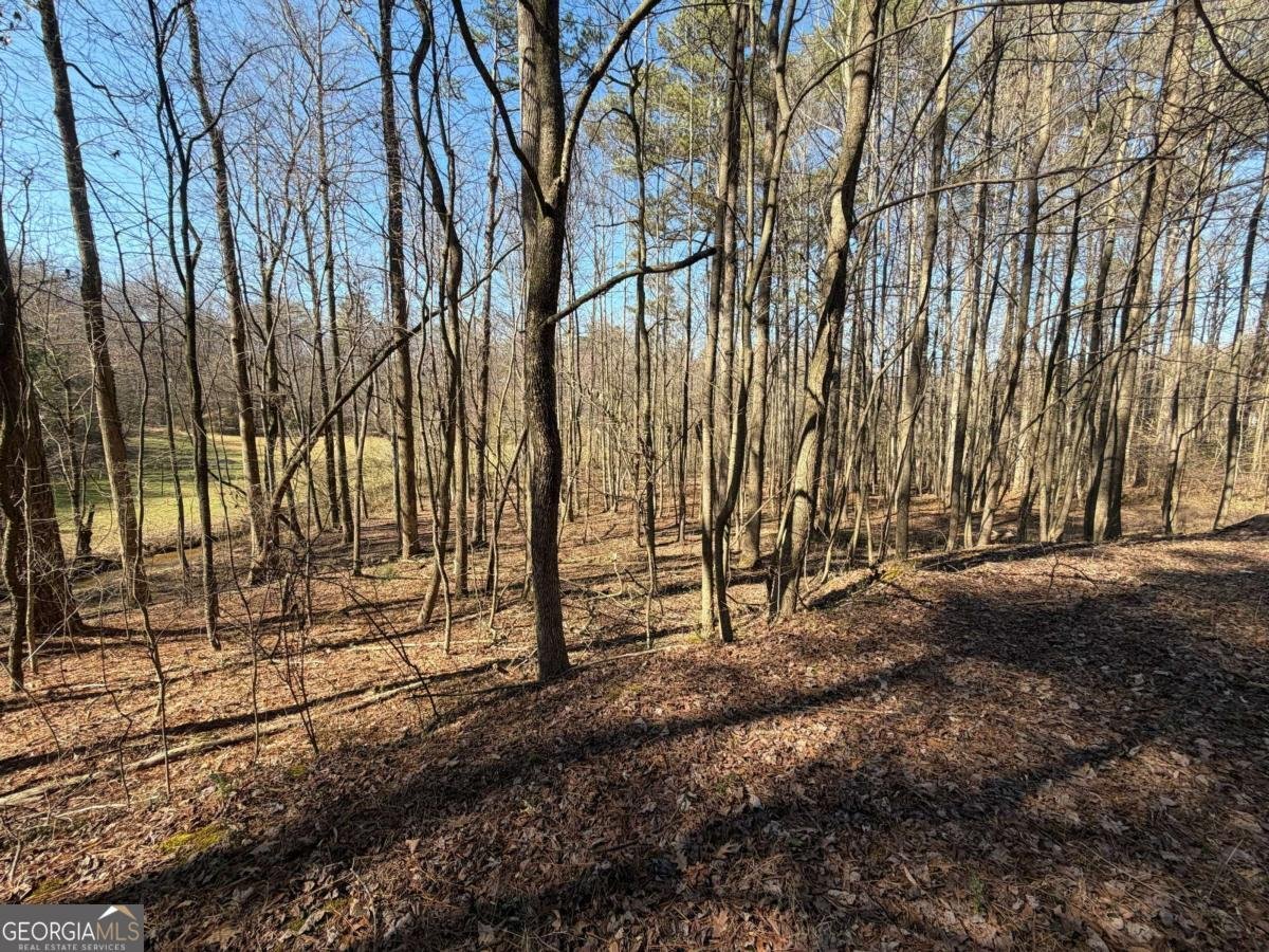 522 Bible Baptist Road Ellijay - Photo 15