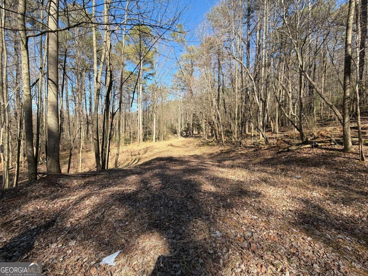 522 Bible Baptist Road Ellijay - Photo 16