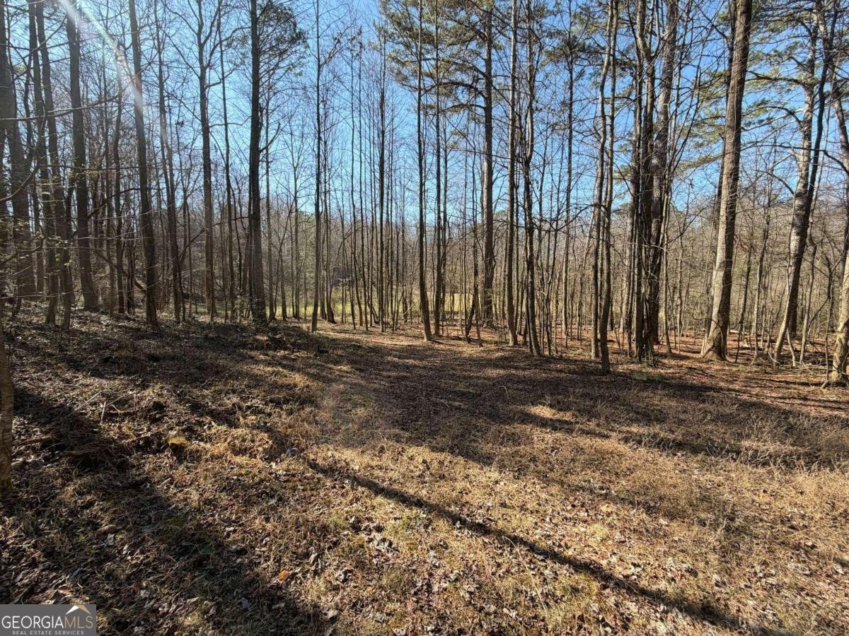 522 Bible Baptist Road Ellijay - Photo 17