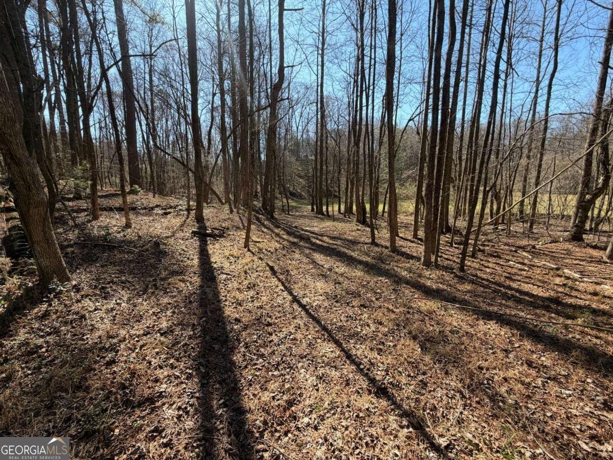 522 Bible Baptist Road Ellijay - Photo 18