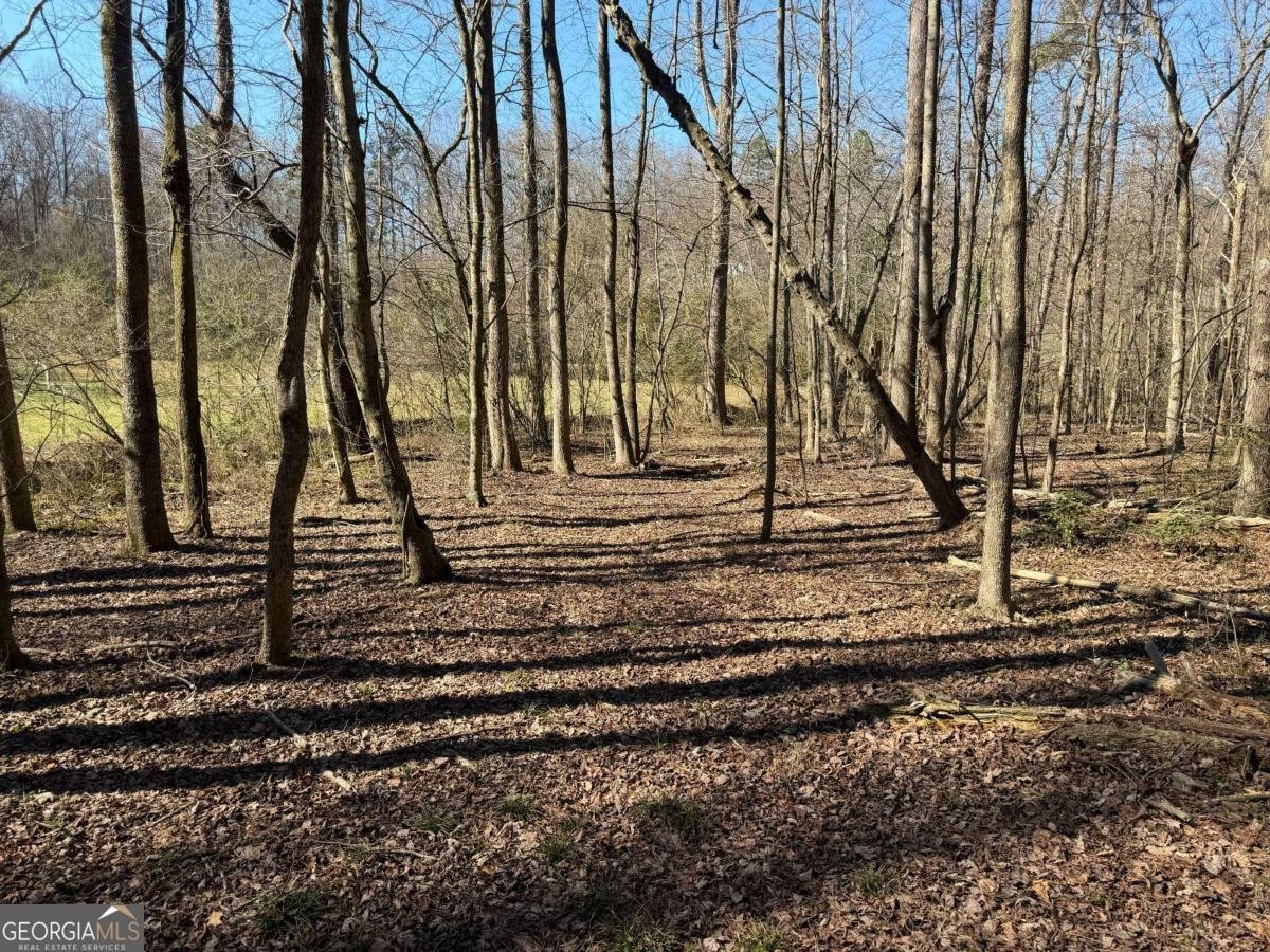 522 Bible Baptist Road Ellijay - Photo 19