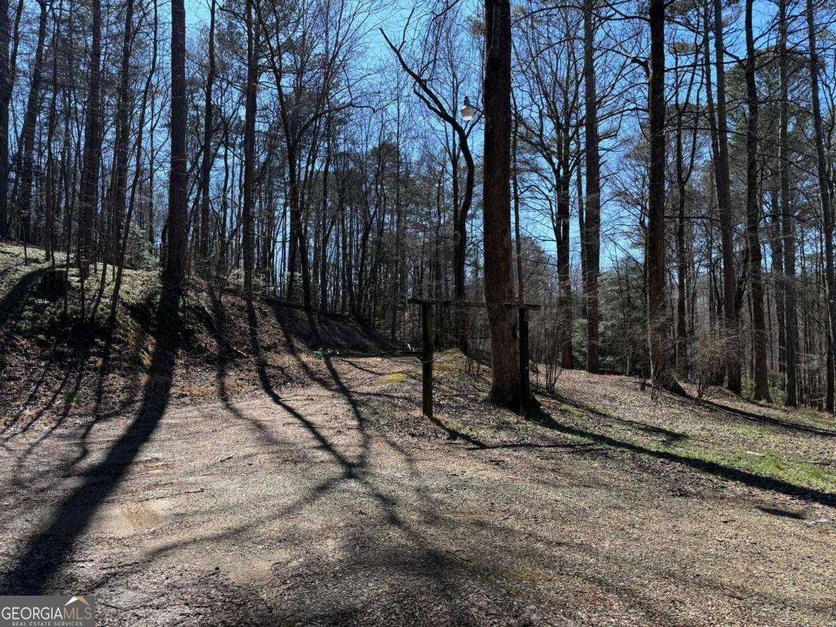 522 Bible Baptist Road Ellijay - Photo 20