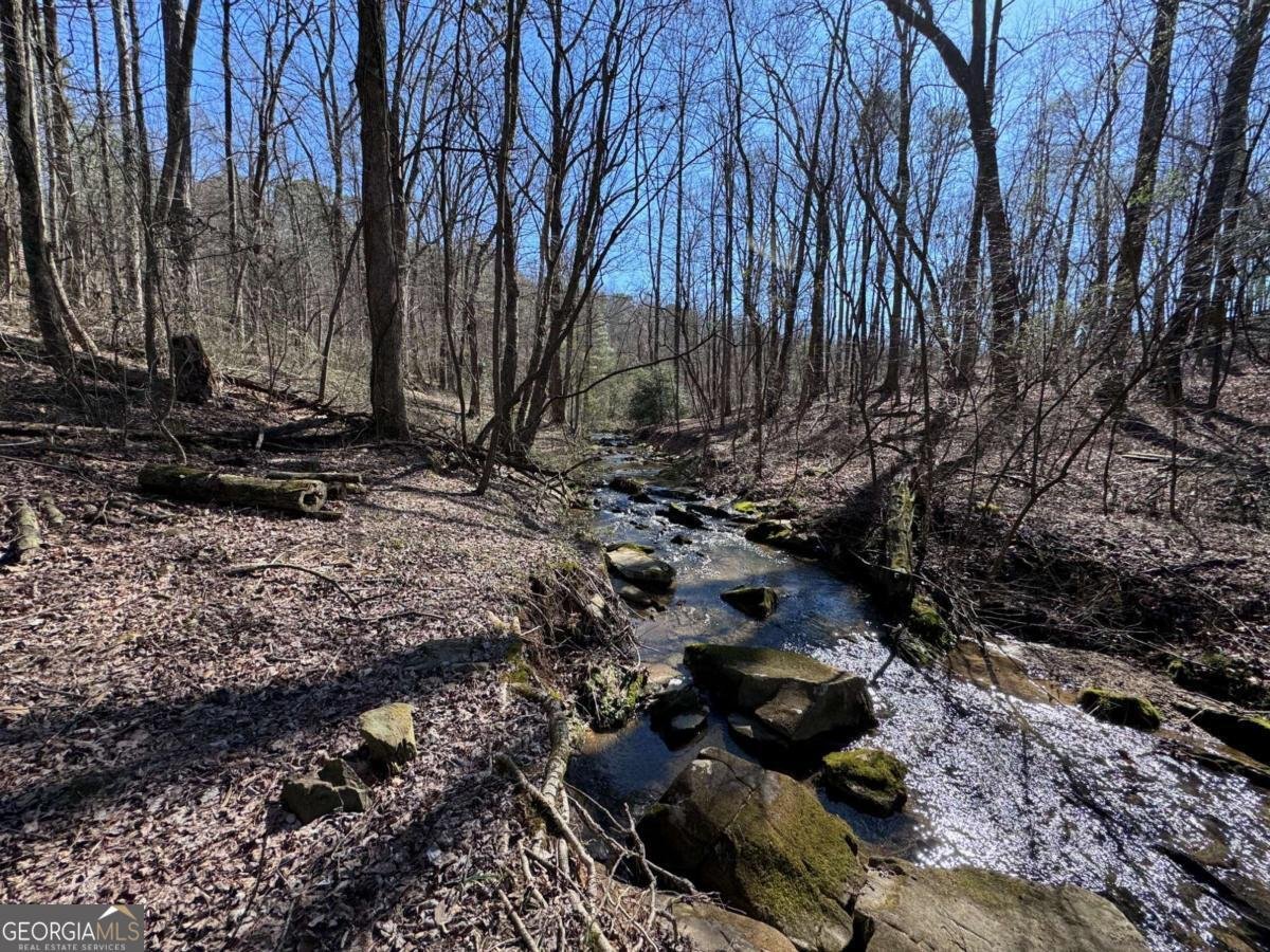 522 Bible Baptist Road Ellijay - Photo 23