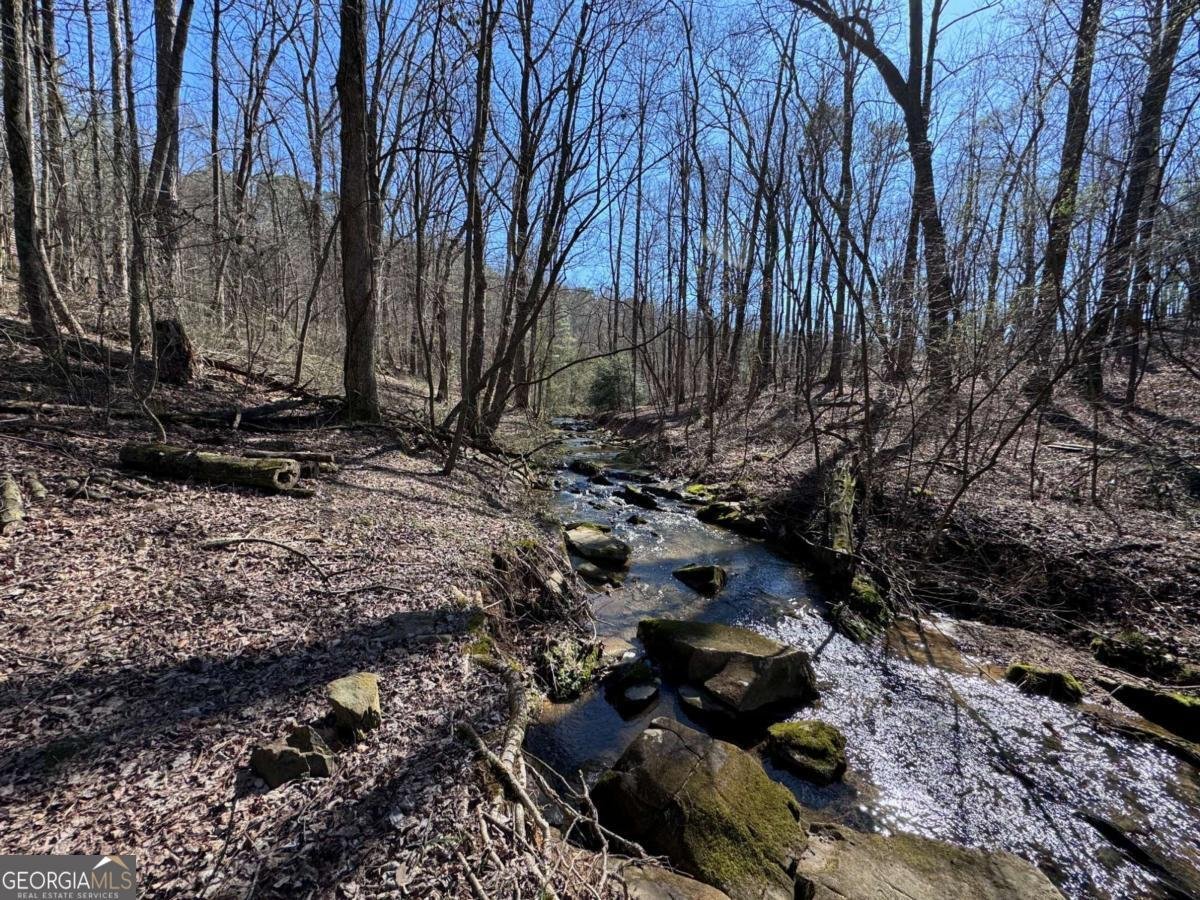 522 Bible Baptist Road Ellijay - Photo 24