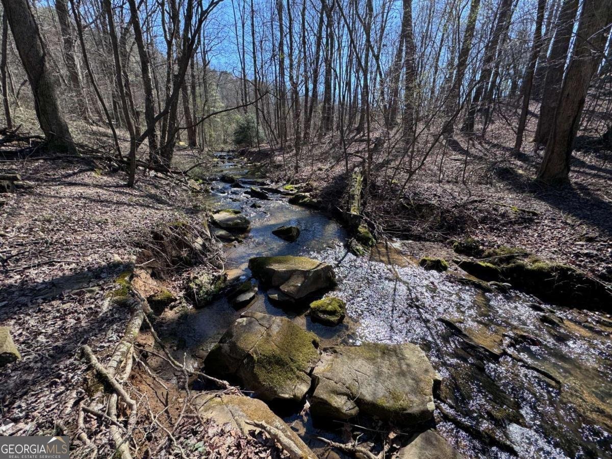 522 Bible Baptist Road Ellijay - Photo 25