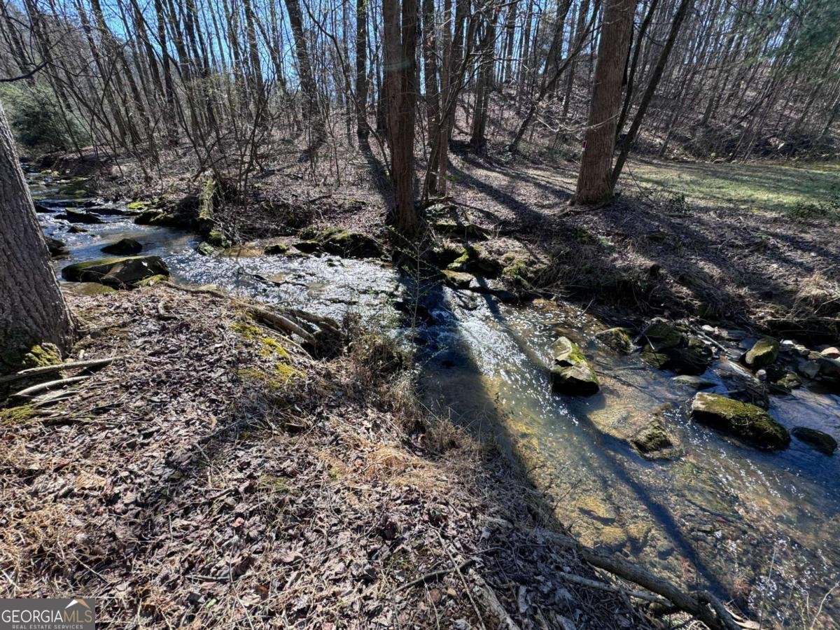 522 Bible Baptist Road Ellijay - Photo 27