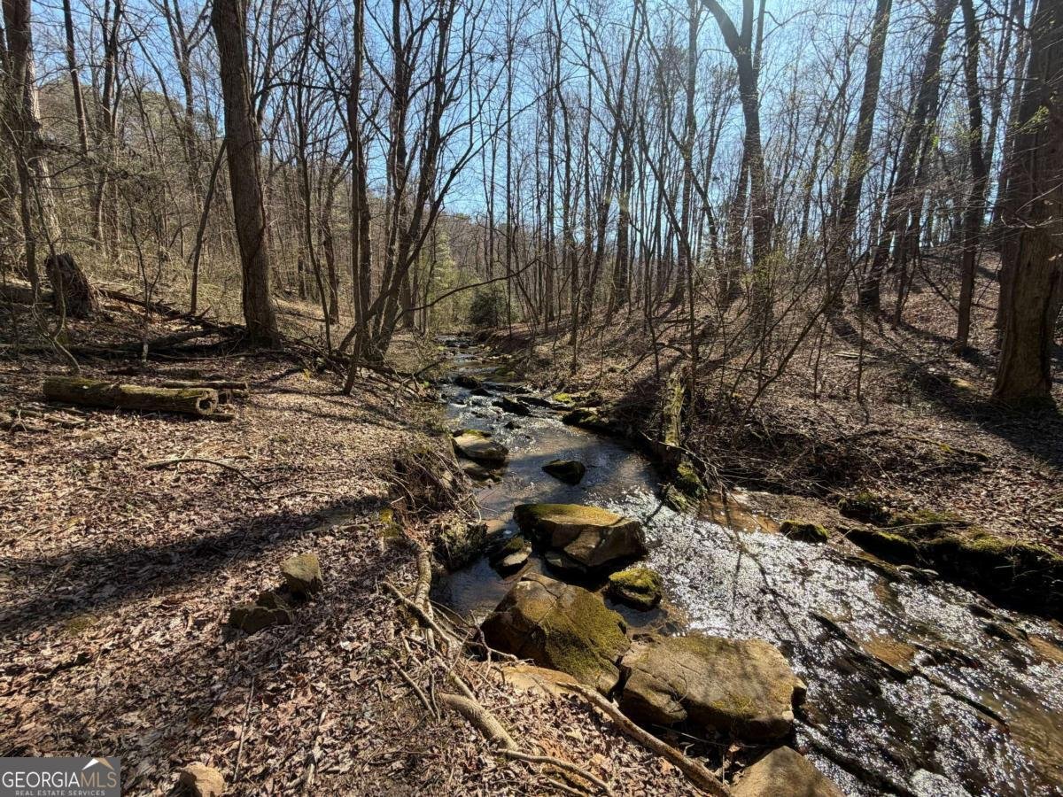 522 Bible Baptist Road Ellijay - Photo 7