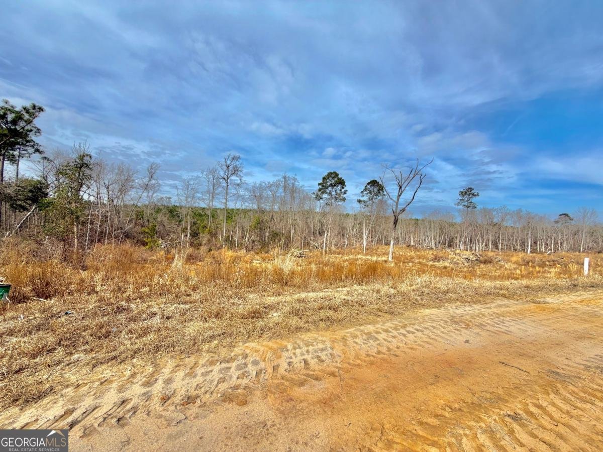 500 Grays Landing Road Uvalda - Photo 33