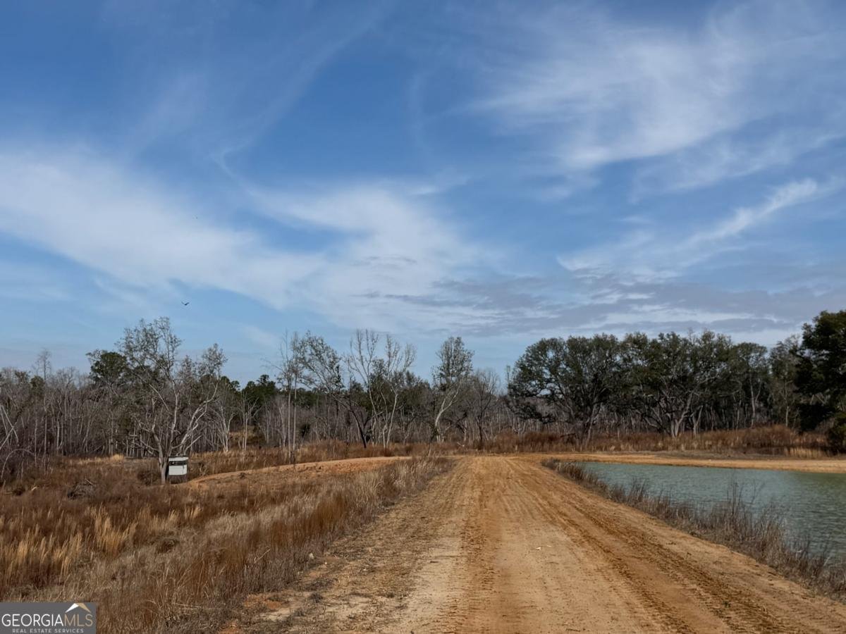 500 Grays Landing Road Uvalda - Photo 34