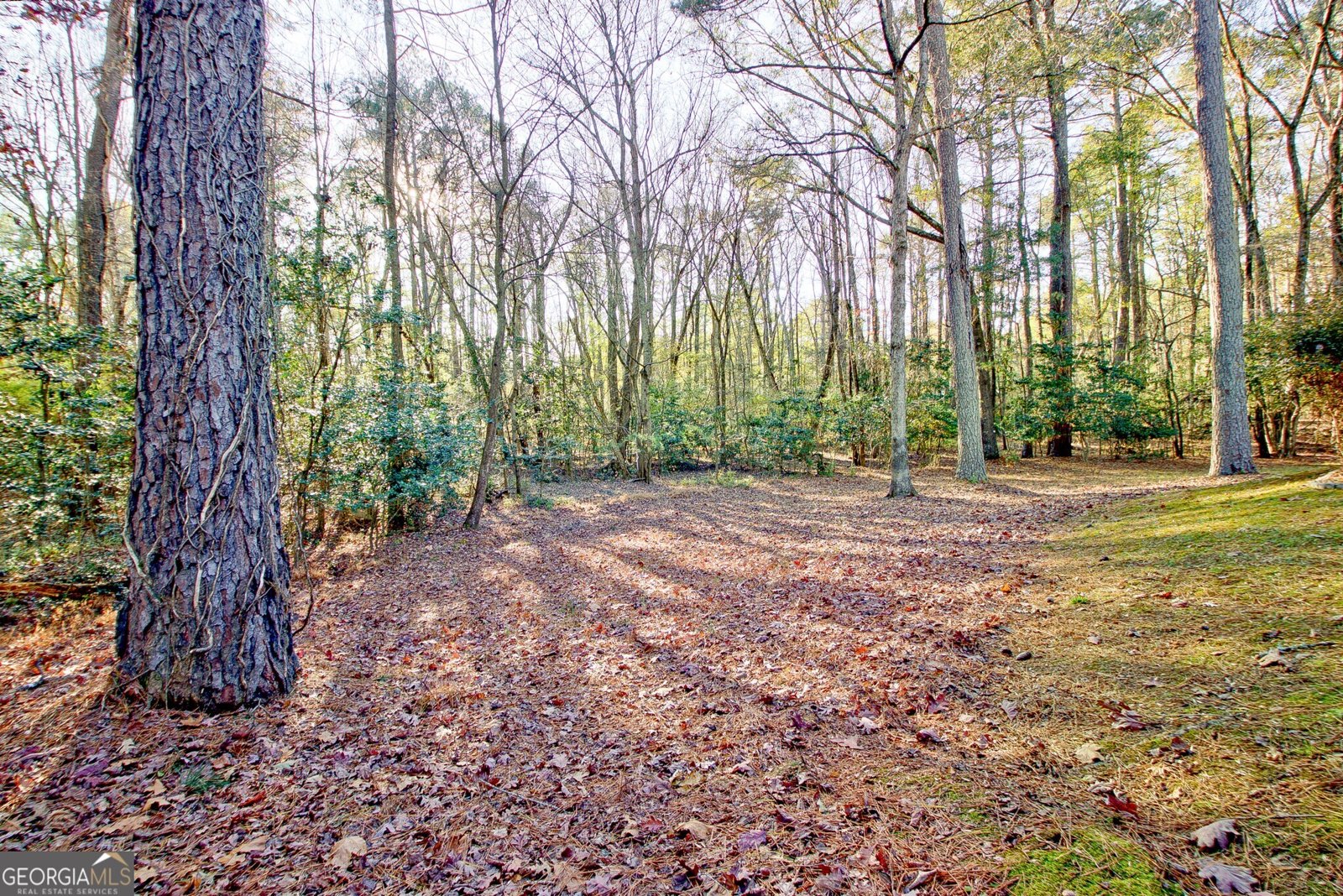 320 Morgans Turn Peachtree City - Photo 36