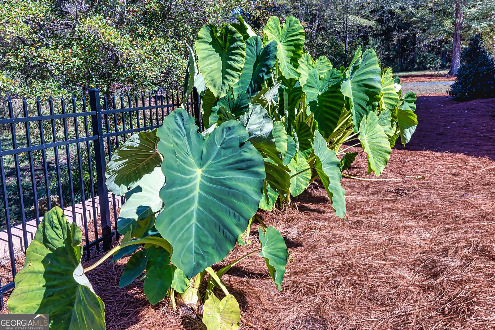 242 Kirkley Road Tyrone - Photo 20