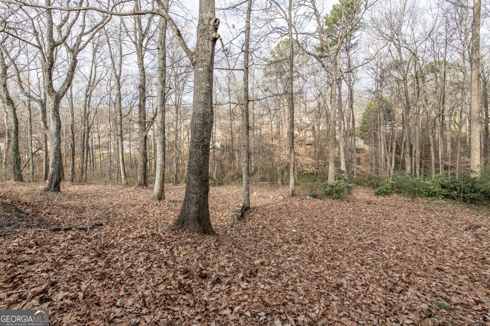 4135 Macduff Drive Douglasville - Photo 25