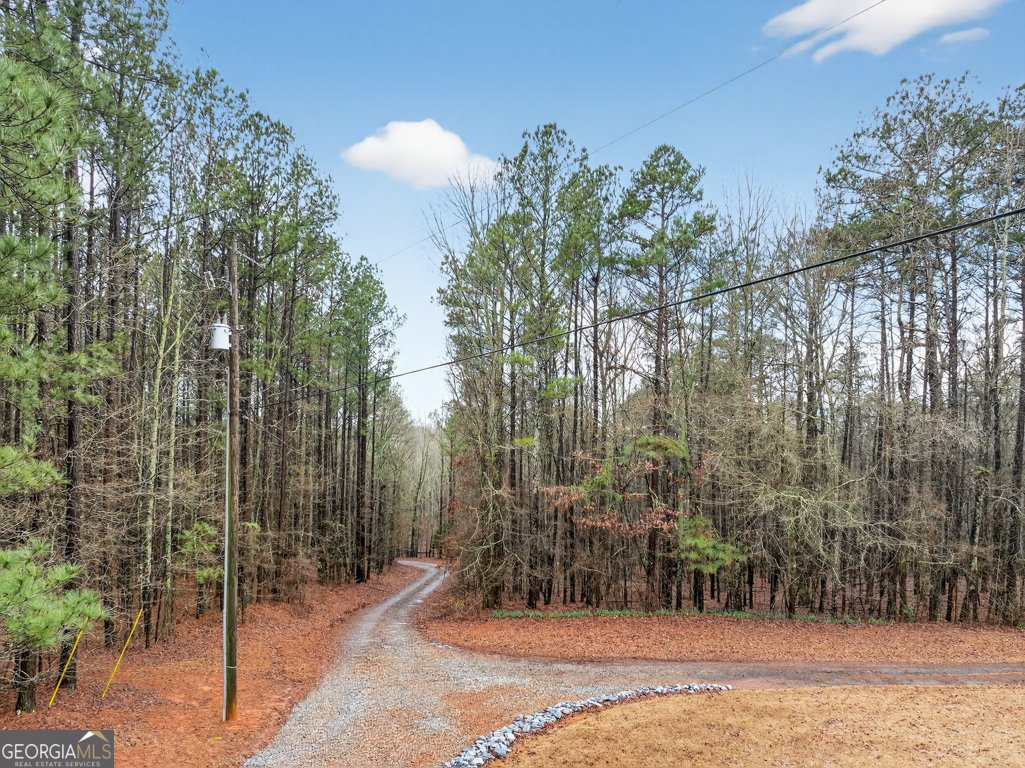 1194 Foster Road Statham - Photo 62