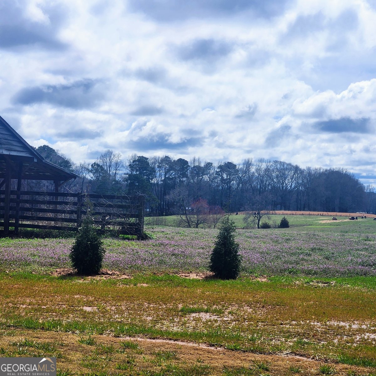 680 SNAPPING SHOALS Road Mcdonough - Photo 41