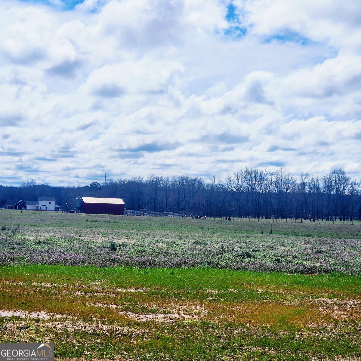 680 SNAPPING SHOALS Road Mcdonough - Photo 42