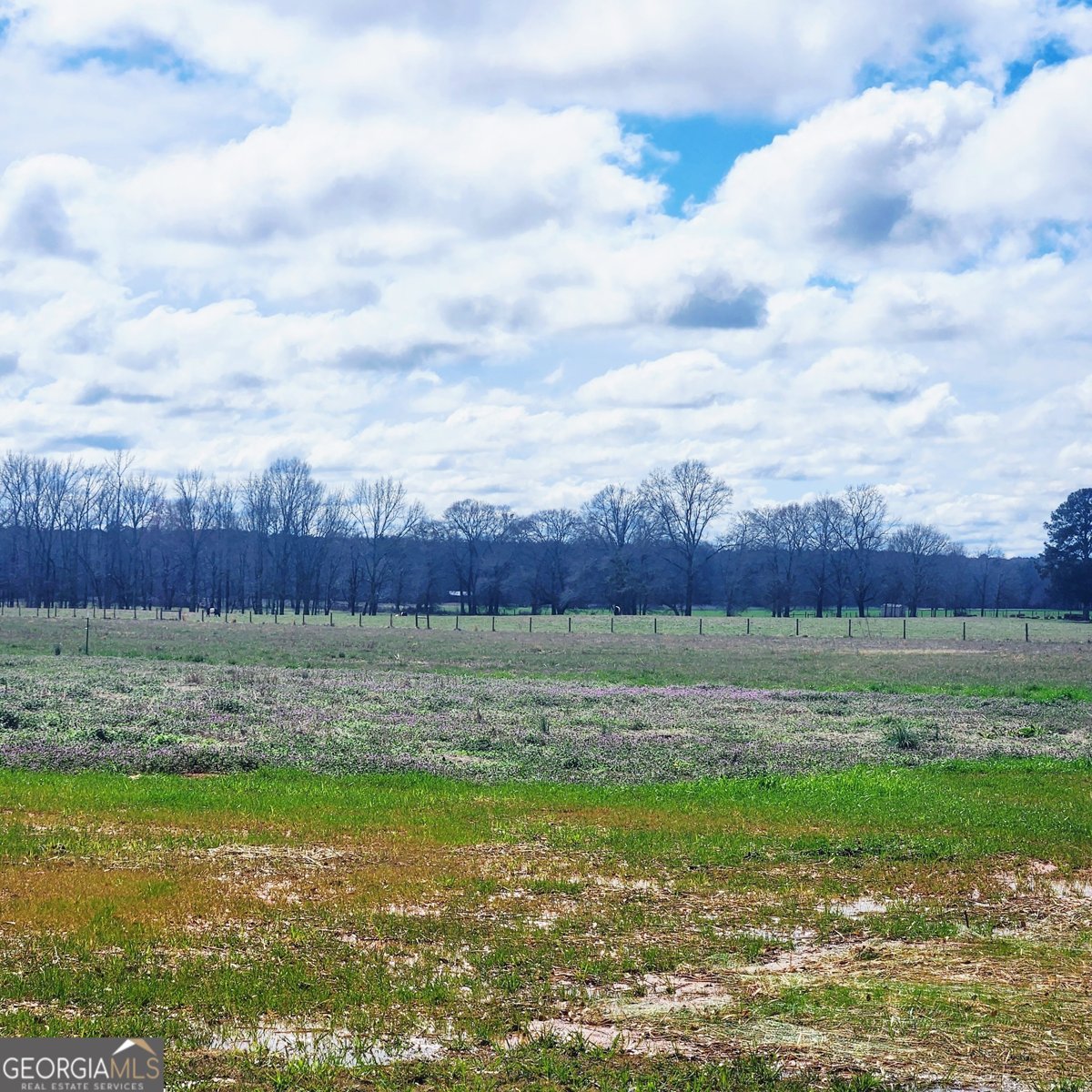 680 SNAPPING SHOALS Road Mcdonough - Photo 43