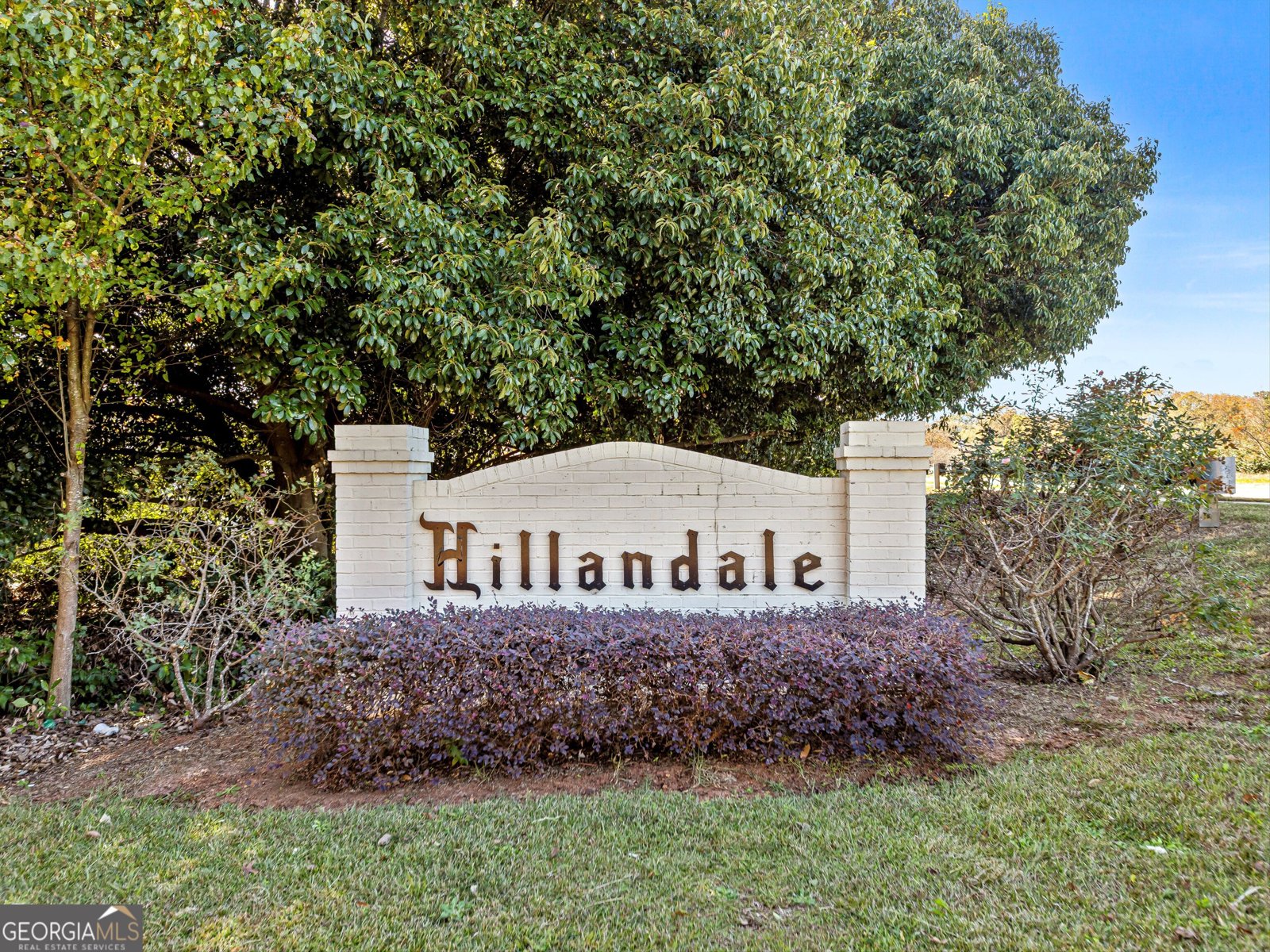 215 Pineywood Road Griffin - Photo 50