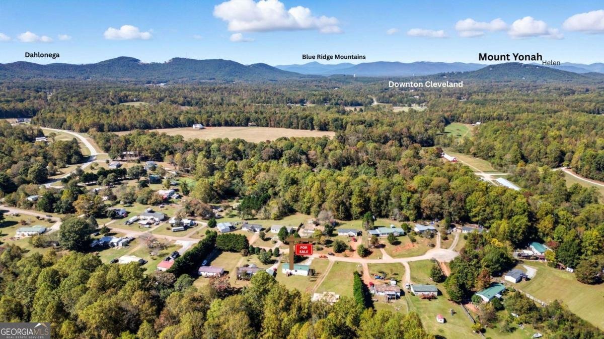 176 Westmoreland Meadows Drive Cleveland - Photo 27