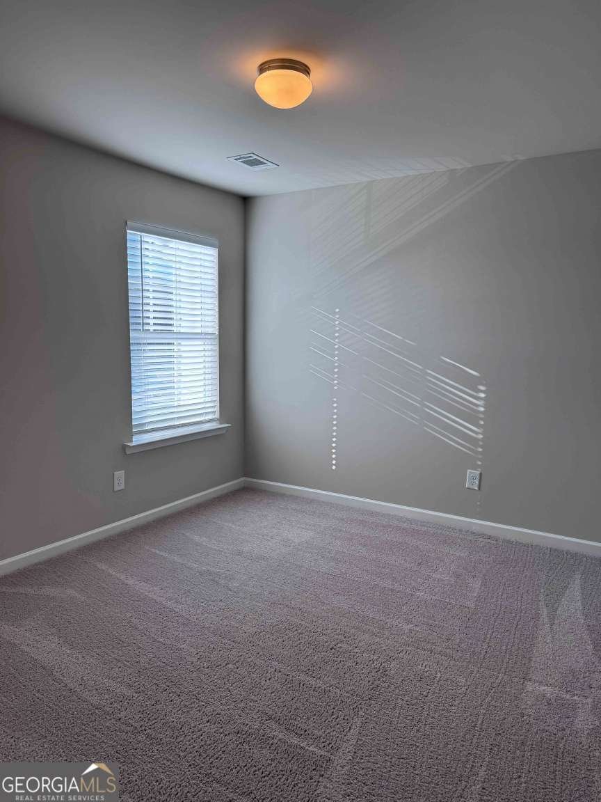 14 Sepia Oak Drive Newnan - Photo 17