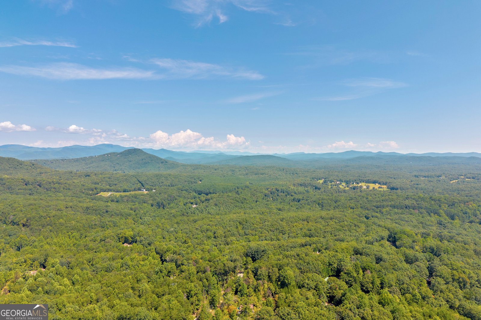 807 Satterfield Road Cleveland - Photo 76