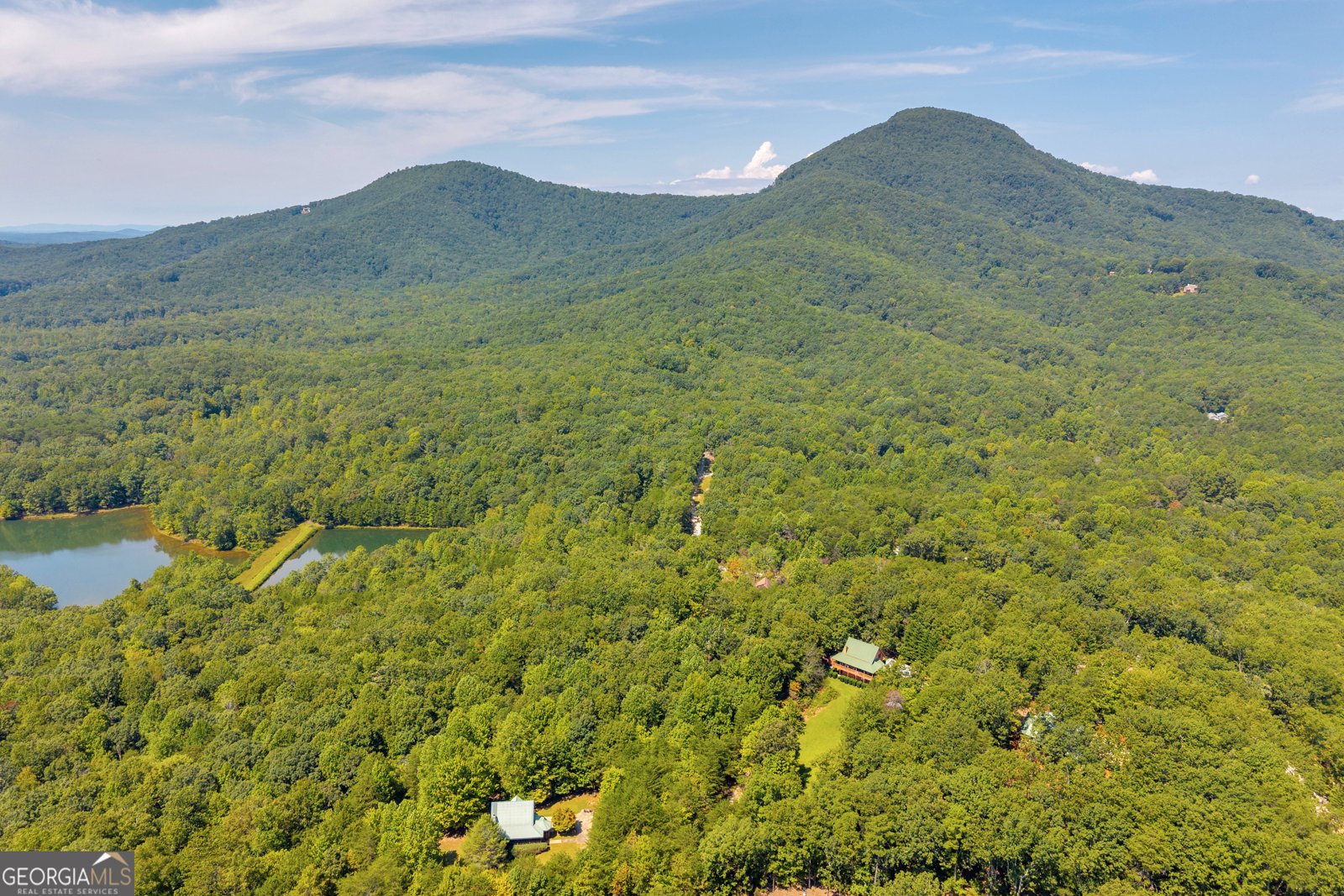 807 Satterfield Road Cleveland - Photo 78