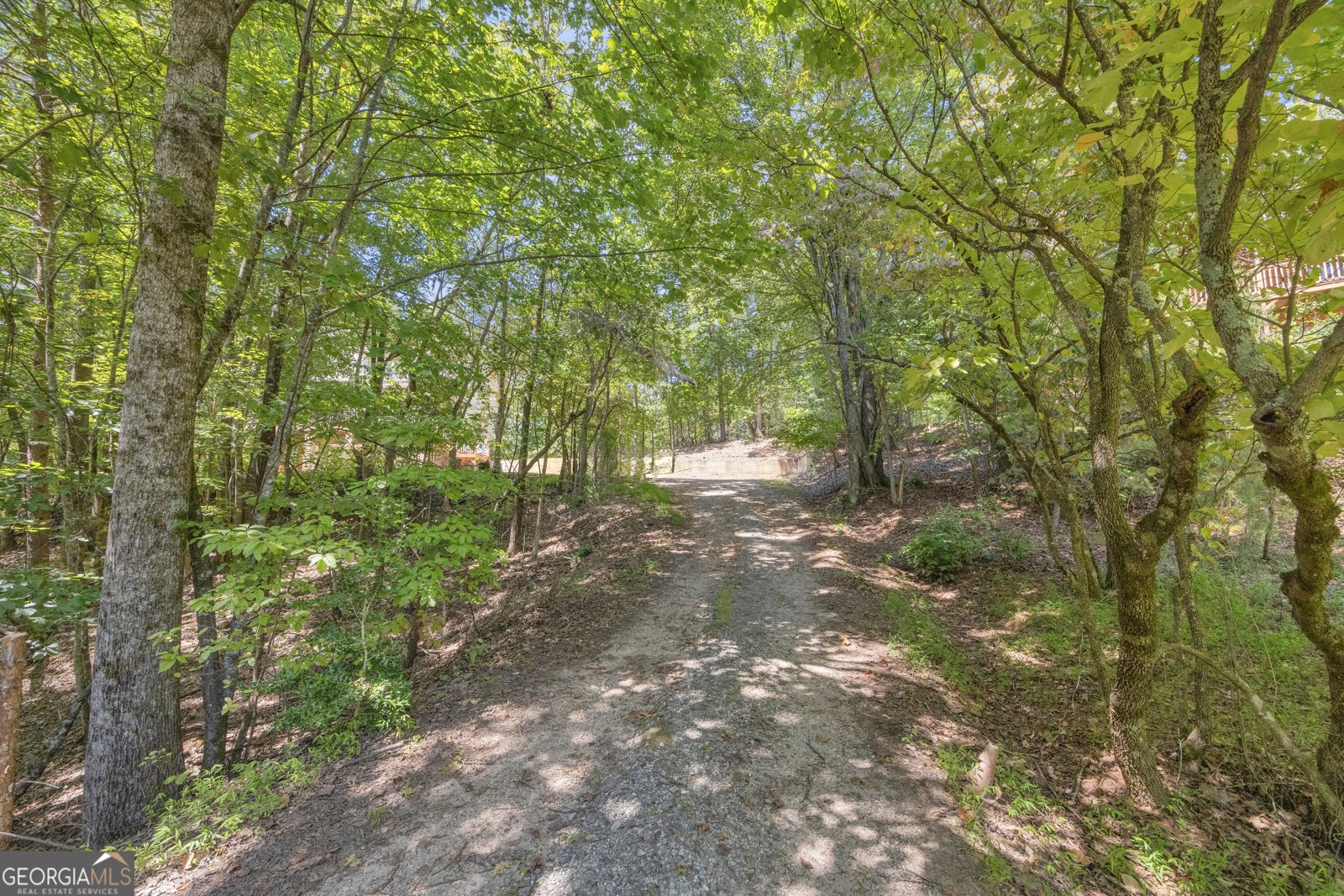 807 Satterfield Road Cleveland - Photo 85