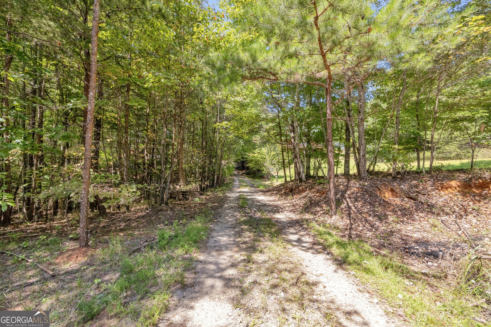 807 Satterfield Road Cleveland - Photo 88