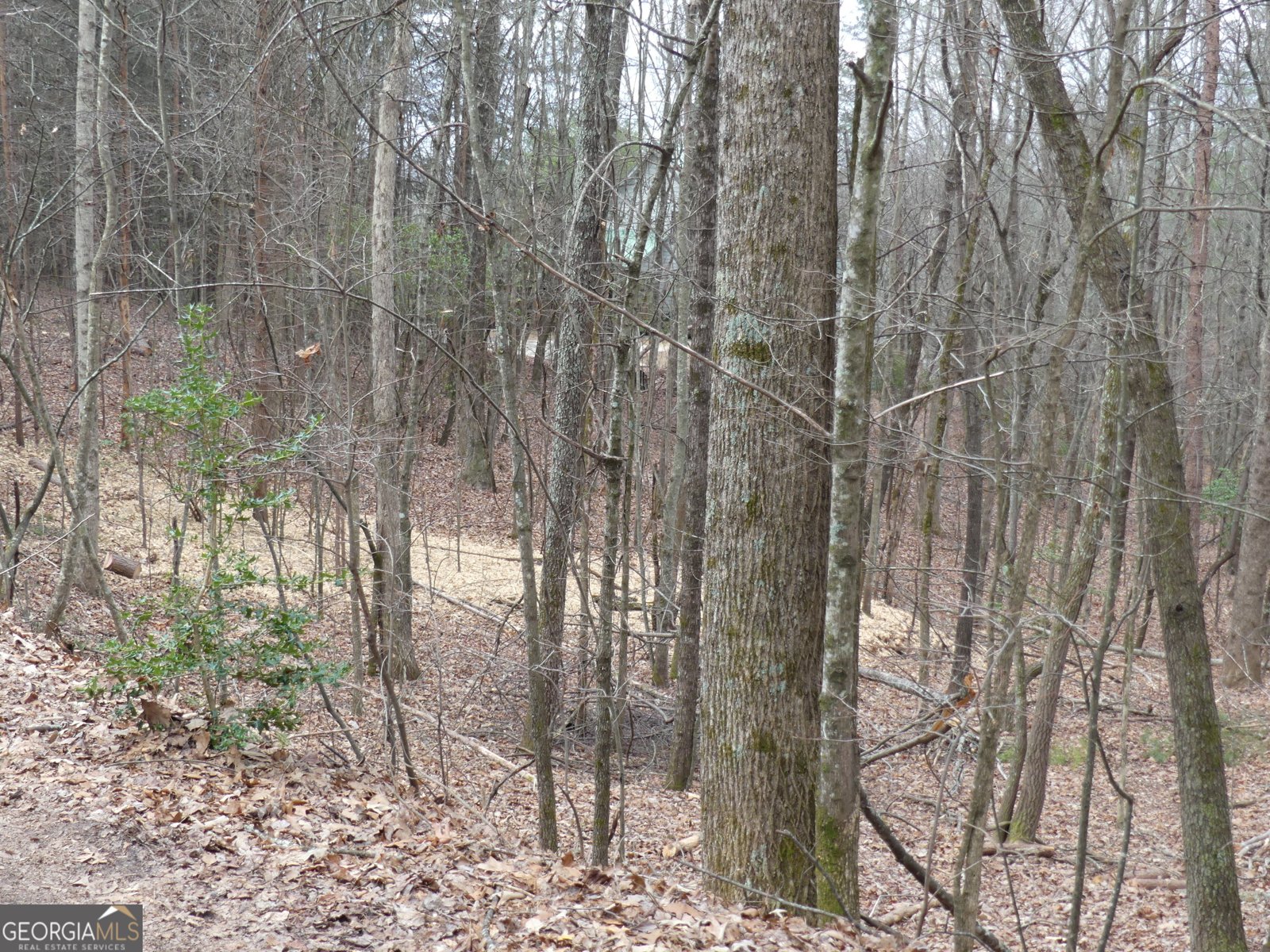 807 Satterfield Road Cleveland - Photo 96