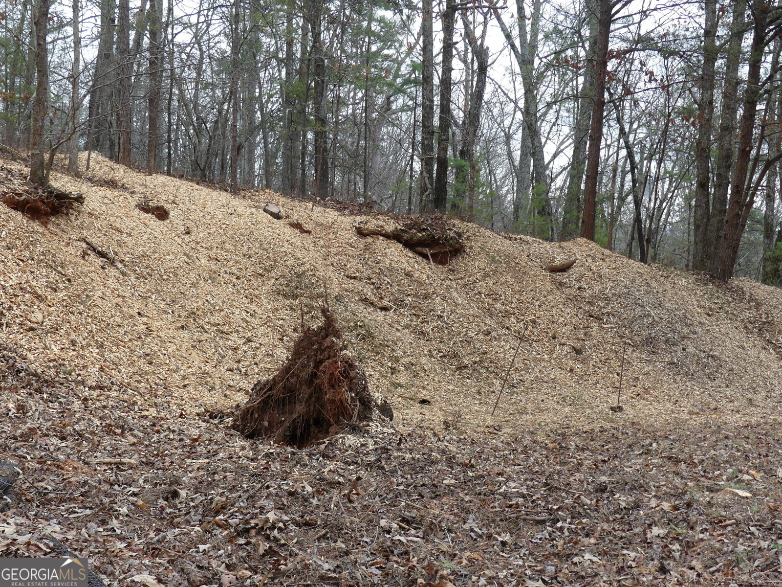 807 Satterfield Road Cleveland - Photo 99