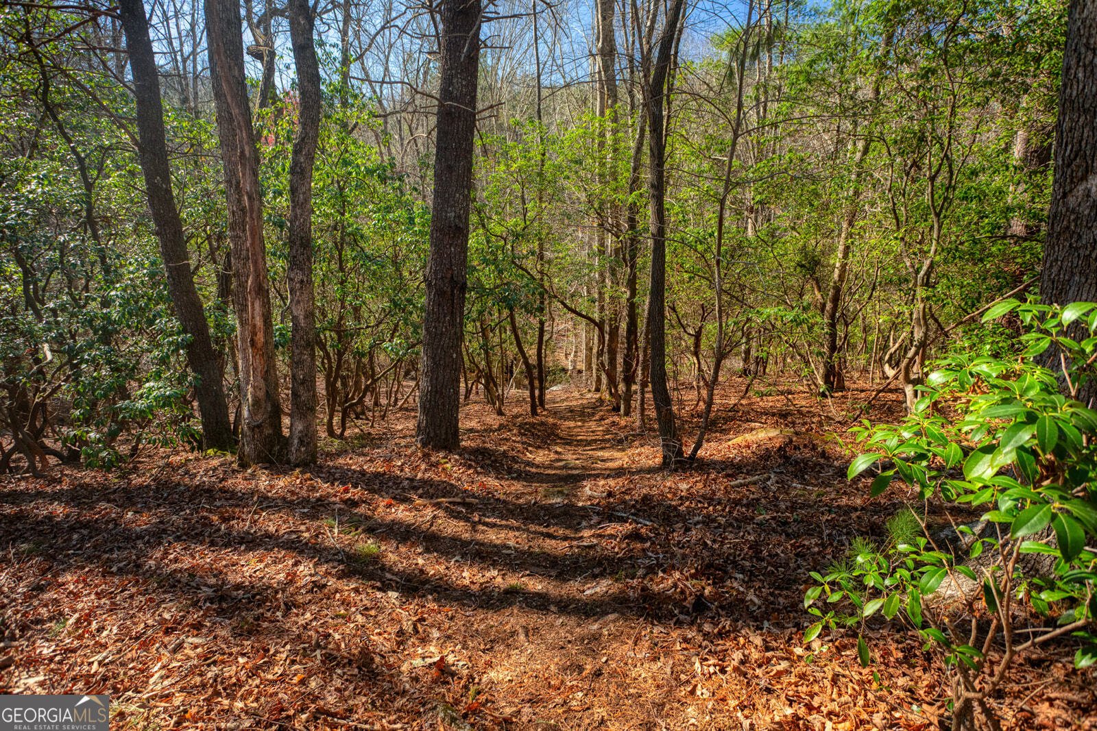 181 Henry Street Cleveland - Photo 62