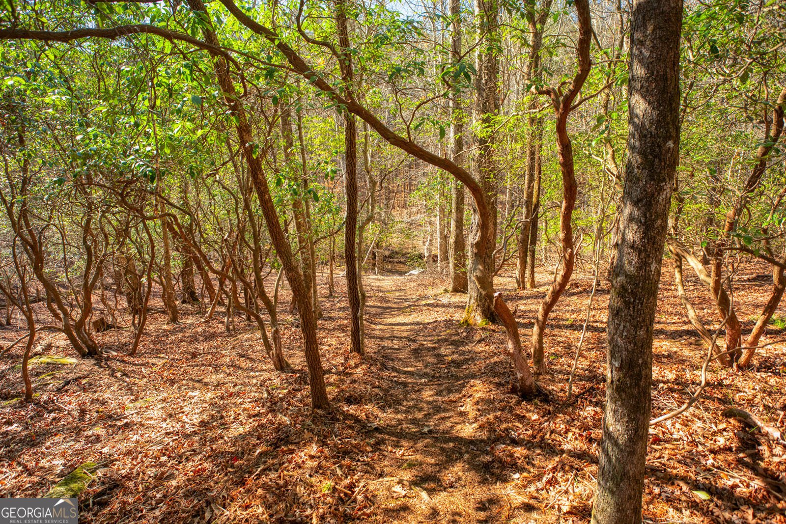 181 Henry Street Cleveland - Photo 63