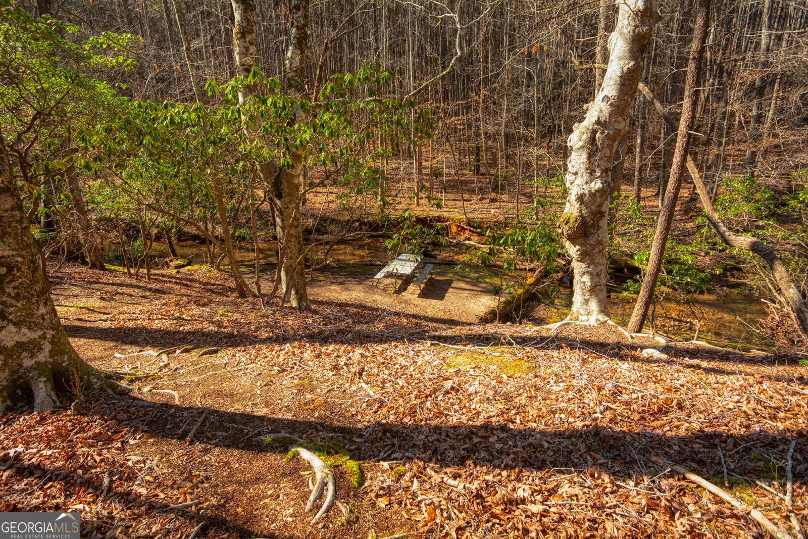 181 Henry Street Cleveland - Photo 64