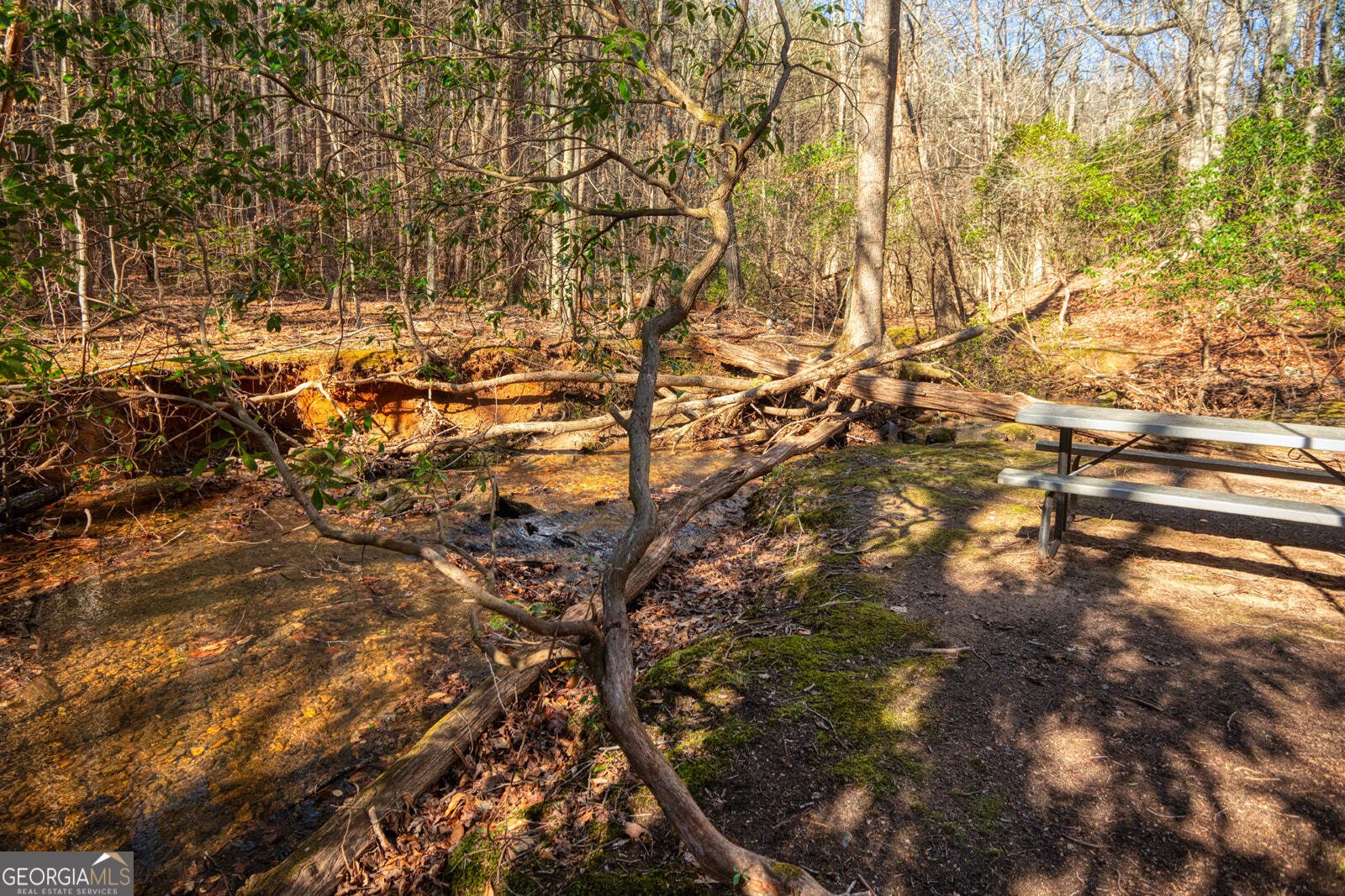 181 Henry Street Cleveland - Photo 65