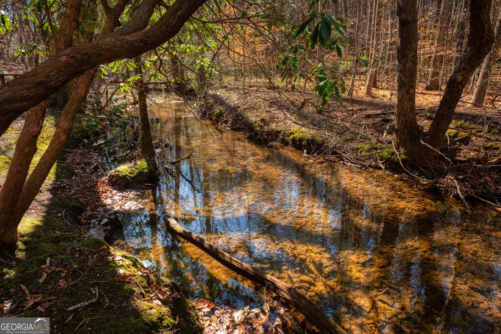 181 Henry Street Cleveland - Photo 66