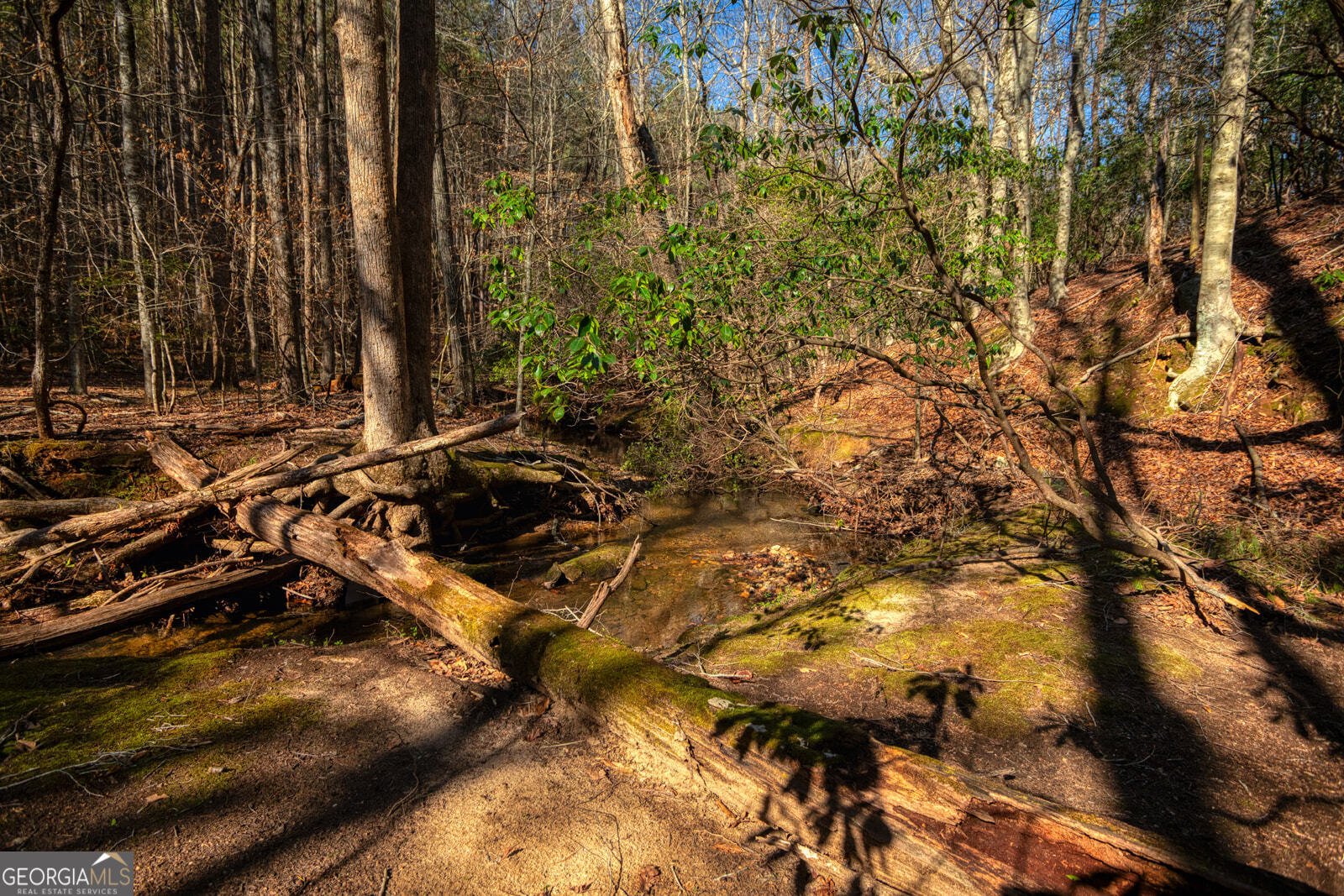 181 Henry Street Cleveland - Photo 67