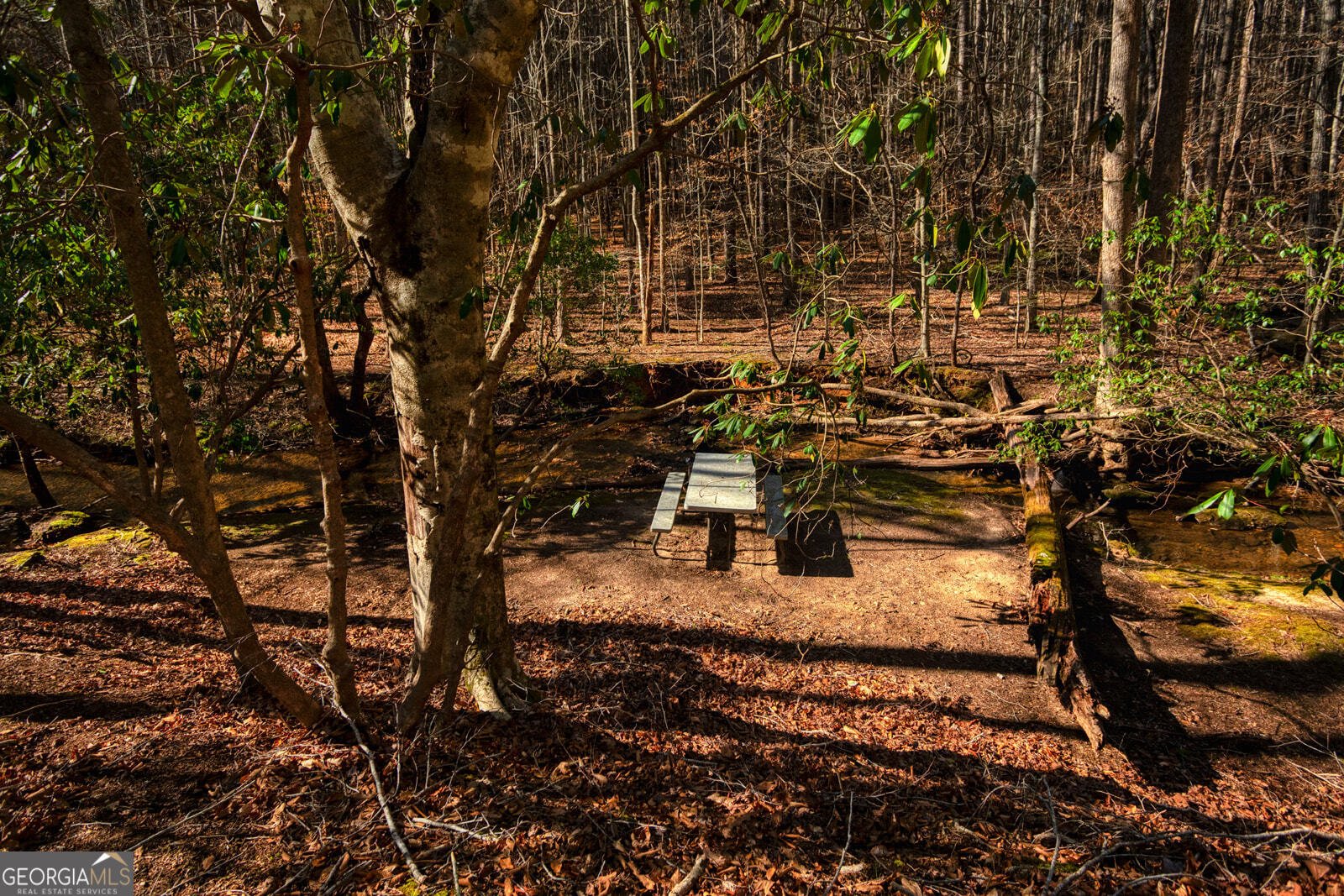 181 Henry Street Cleveland - Photo 68