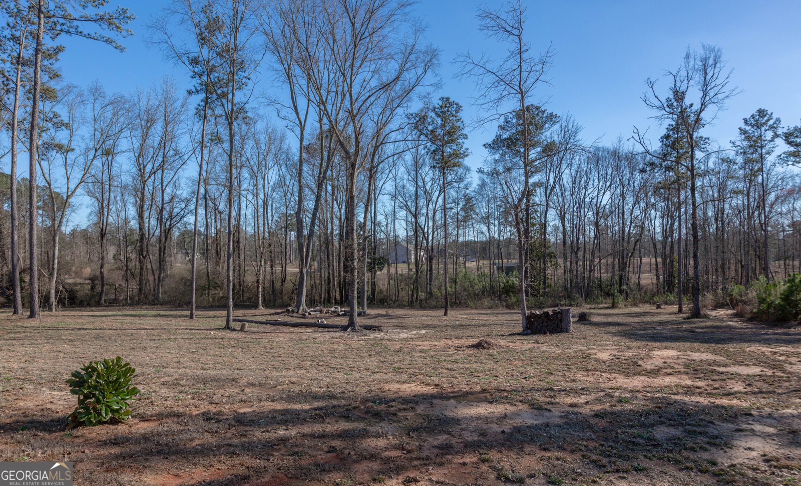 103 Hammond Road Griffin - Photo 62