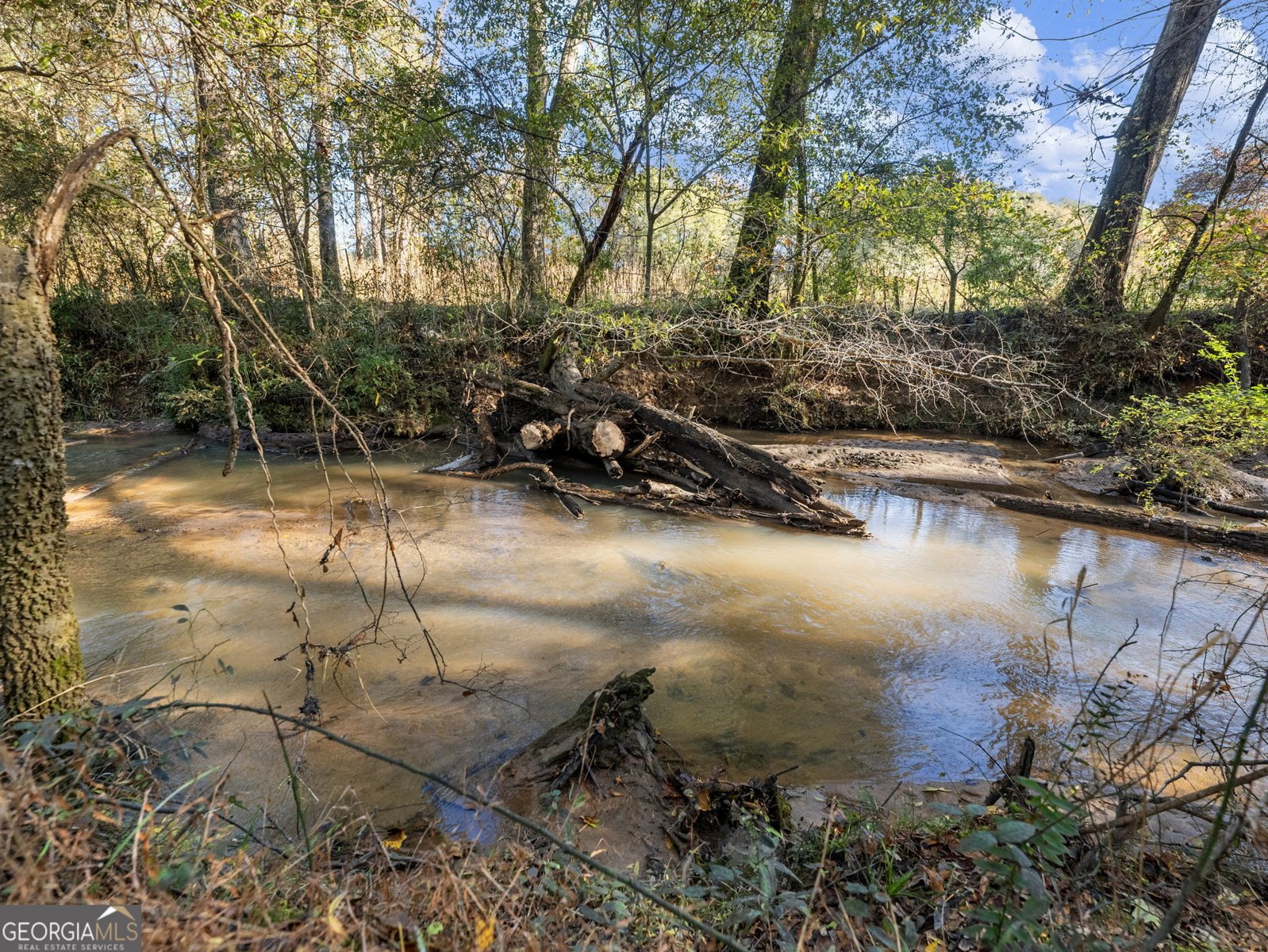 74 Indian Creek Way Hoschton - Photo 71
