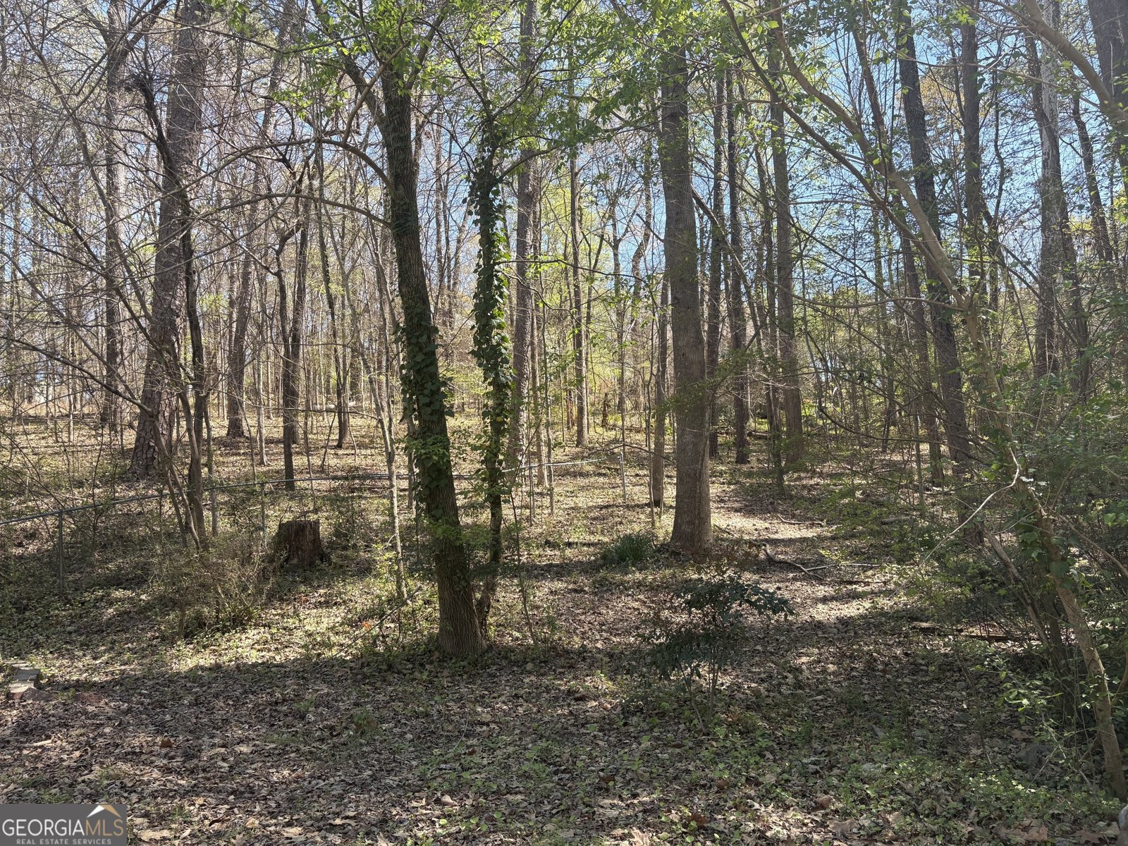 2250 Plantation Road Lawrenceville - Photo 69