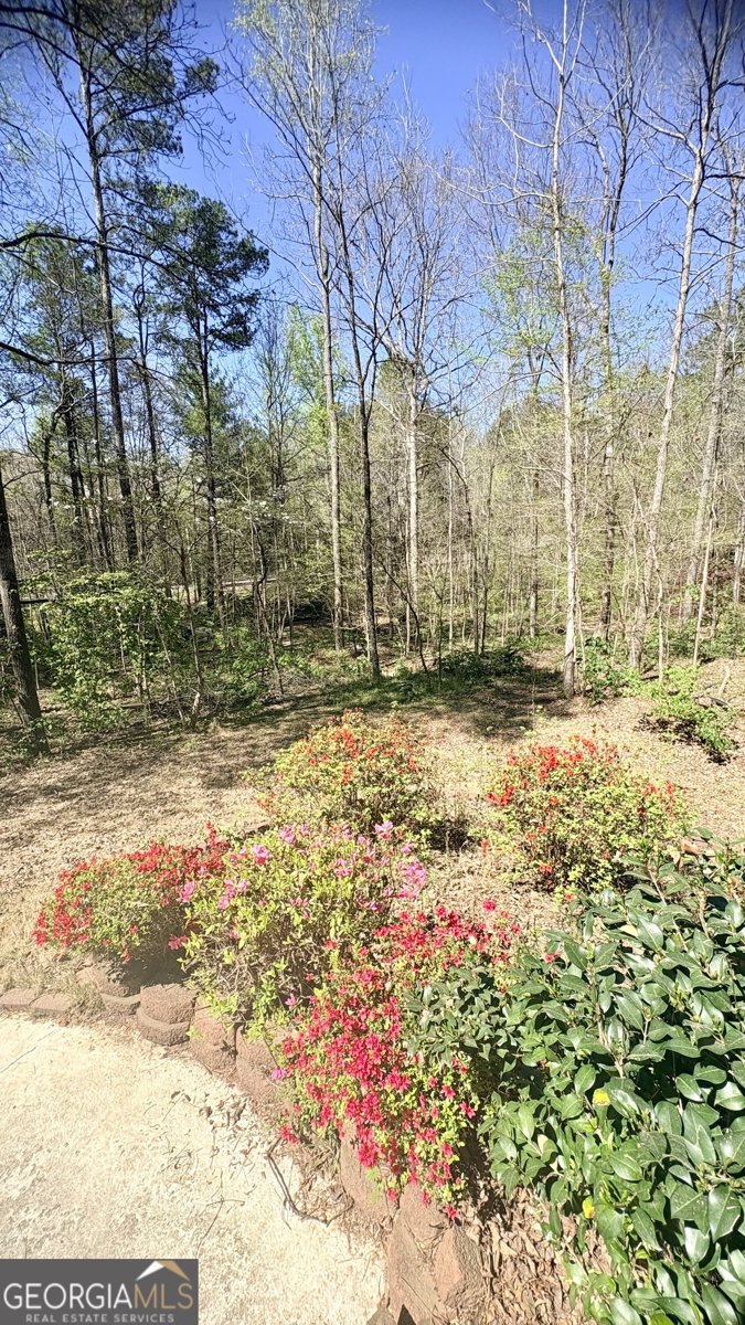 2250 Plantation Road Lawrenceville - Photo 73