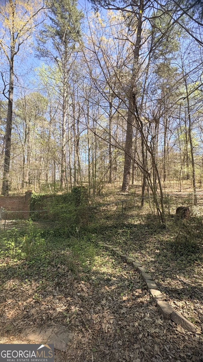 2250 Plantation Road Lawrenceville - Photo 80