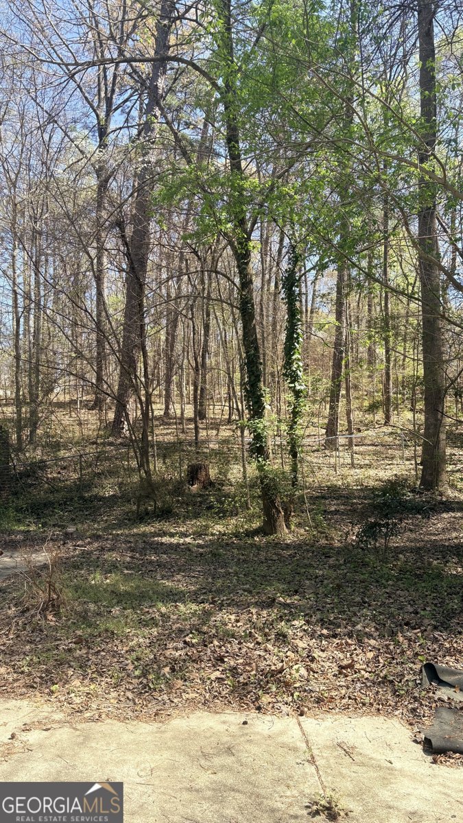 2250 Plantation Road Lawrenceville - Photo 81