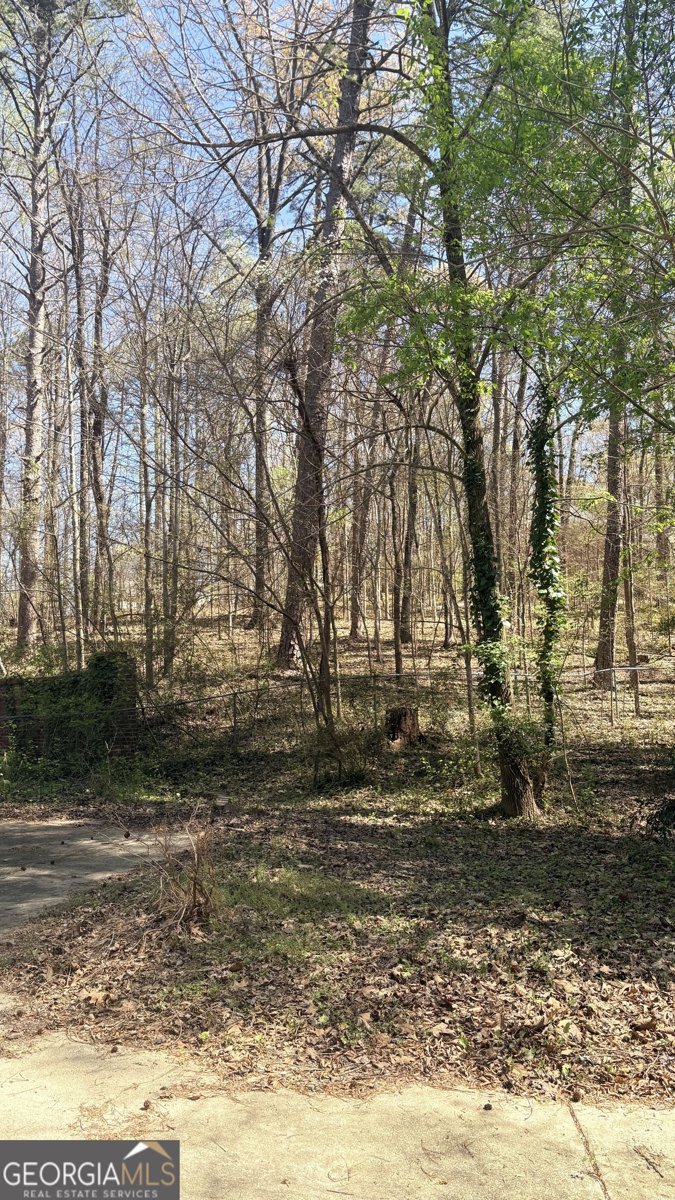 2250 Plantation Road Lawrenceville - Photo 82