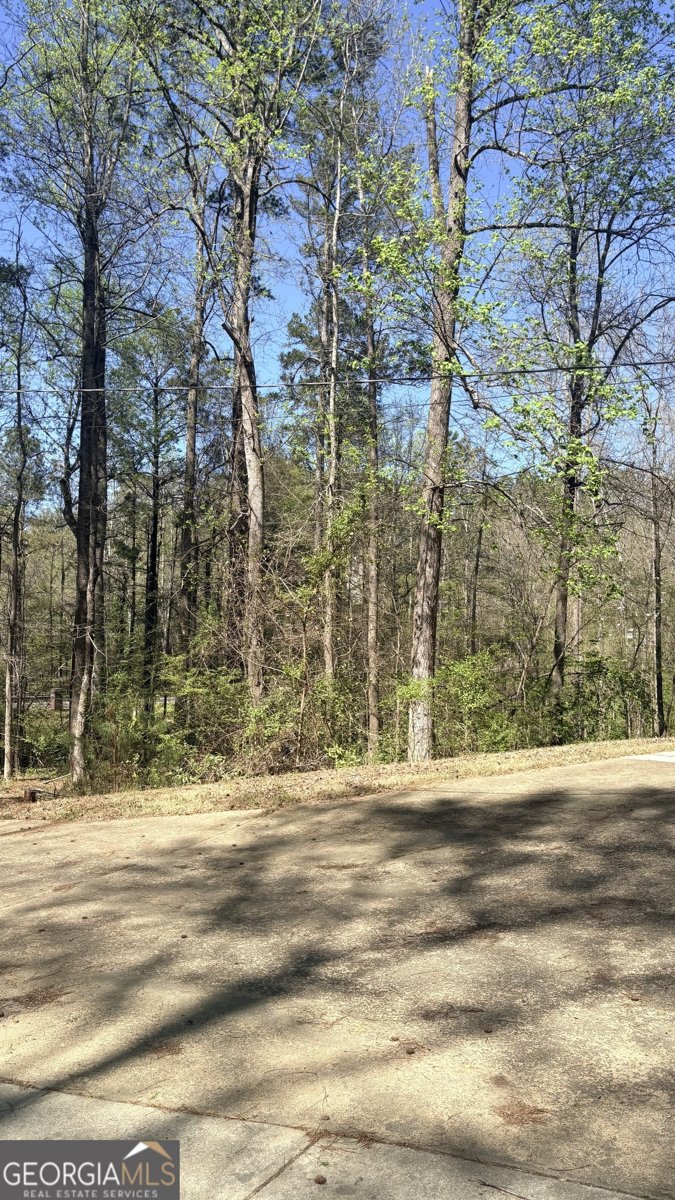 2250 Plantation Road Lawrenceville - Photo 83