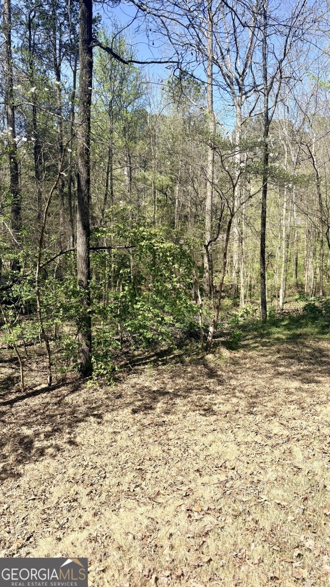 2250 Plantation Road Lawrenceville - Photo 85