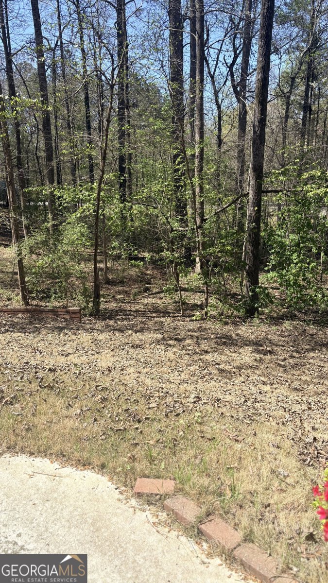 2250 Plantation Road Lawrenceville - Photo 86