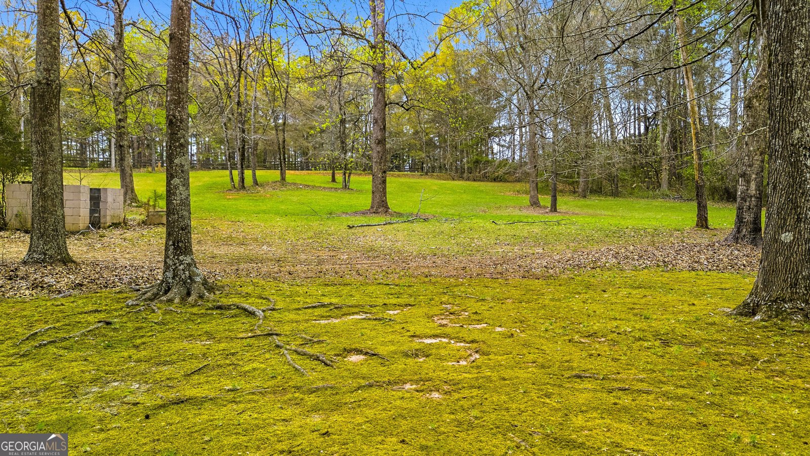 255 Kibbee Road McDonough - Photo 45