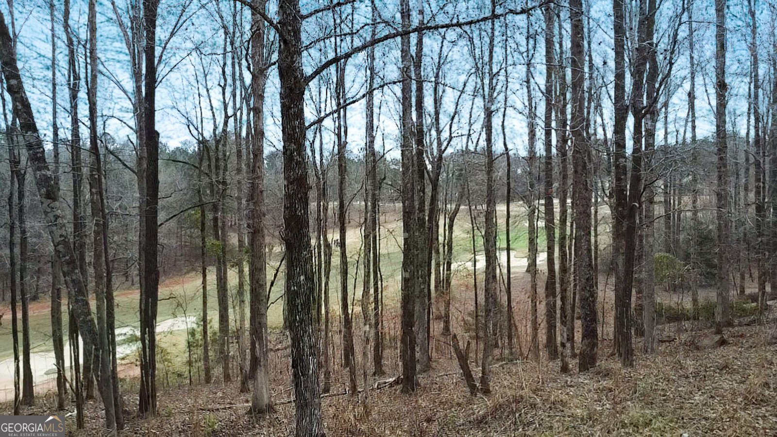 109 River Forest Drive Forsyth - Photo 51