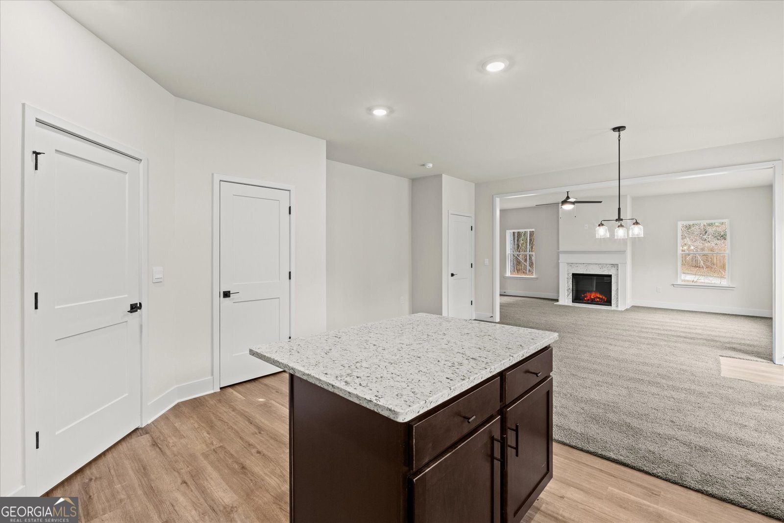 218 Laney Drive Carrollton - Photo 19