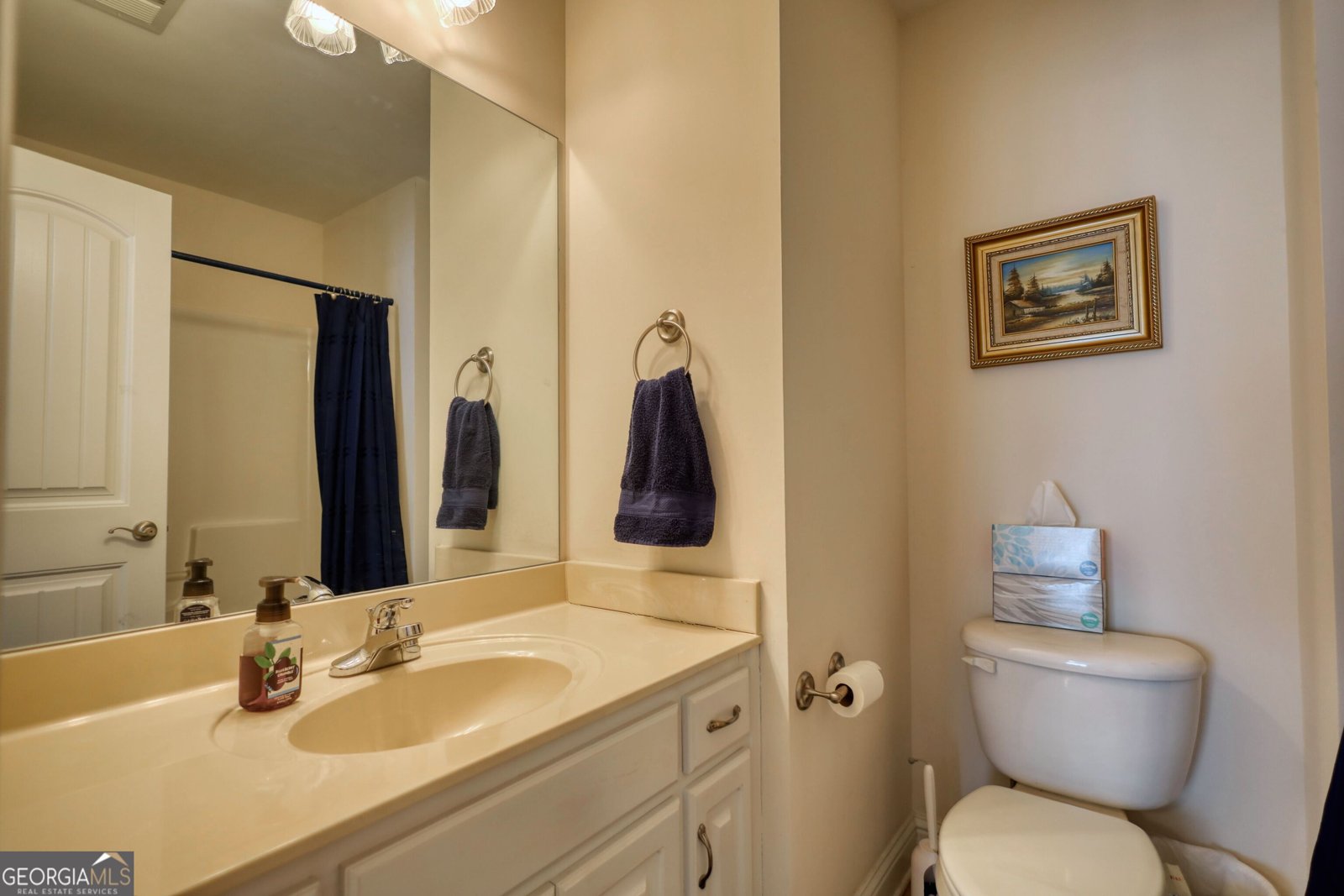 217 Amelia Way Loganville - Photo 52